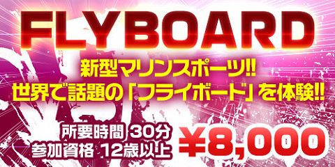 FLYBOARDメニュー