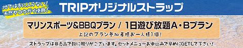限定！TRIPオリジナルストラップ